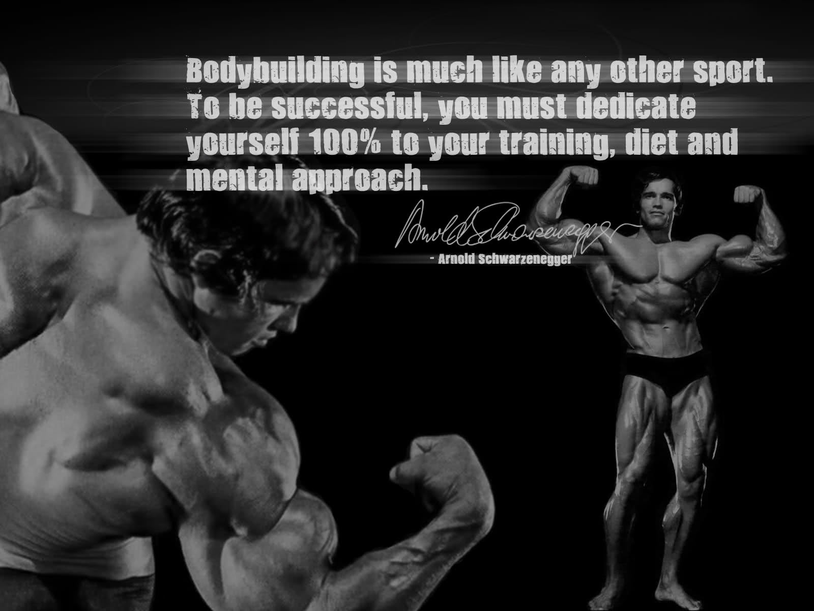 Arnie bodybuilding