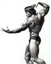 Back Pose Arnie Poster
